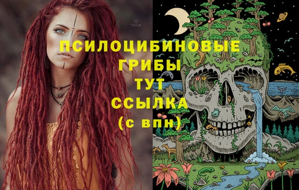 прущие крисы Каменск-Шахтинский