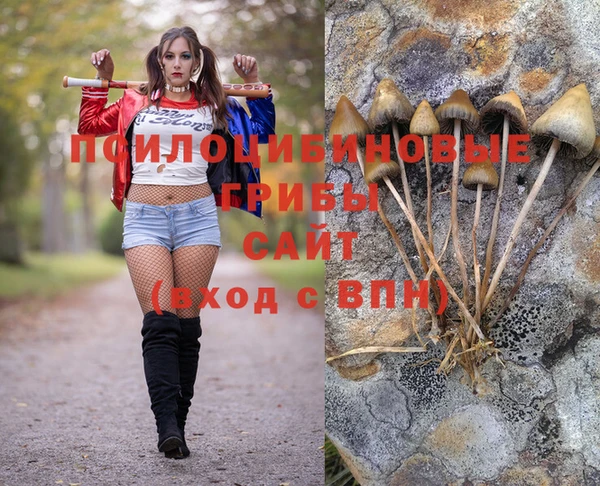 MESCALINE Карталы