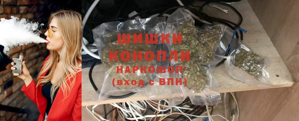 гидра Касимов