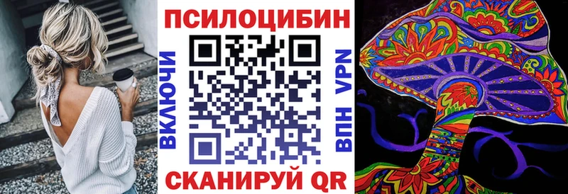 Купить  Анива  Псилоцибиновые грибы Cubensis 
