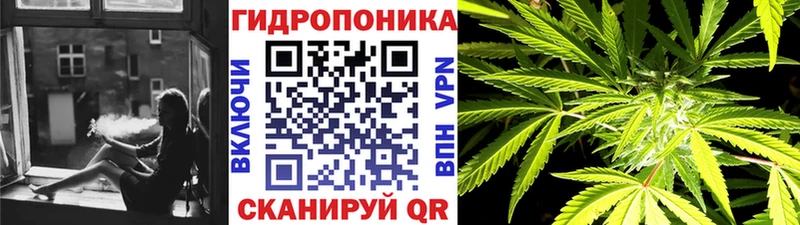 Купить  Анива  Конопля гибрид 